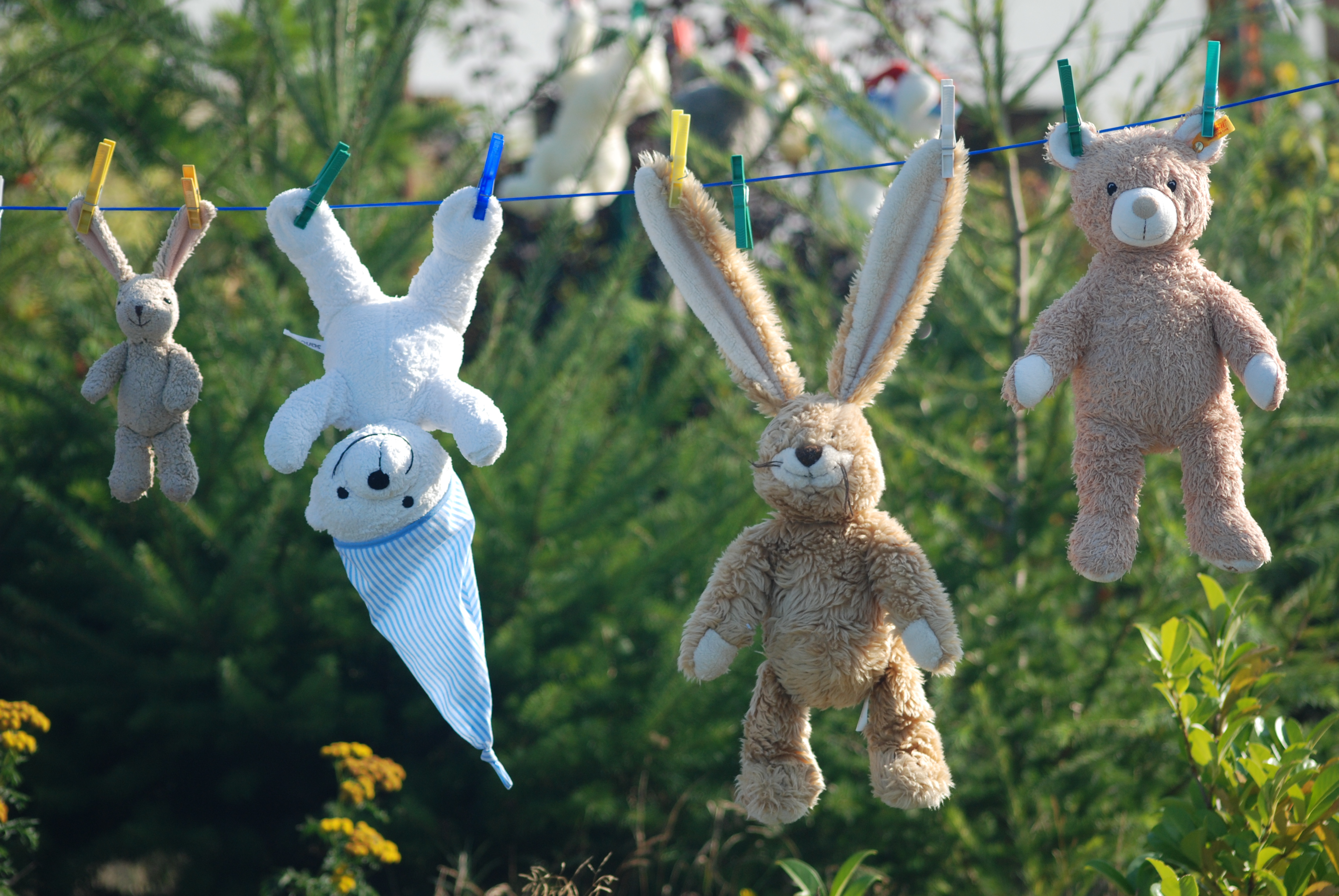 Teddys-on-line