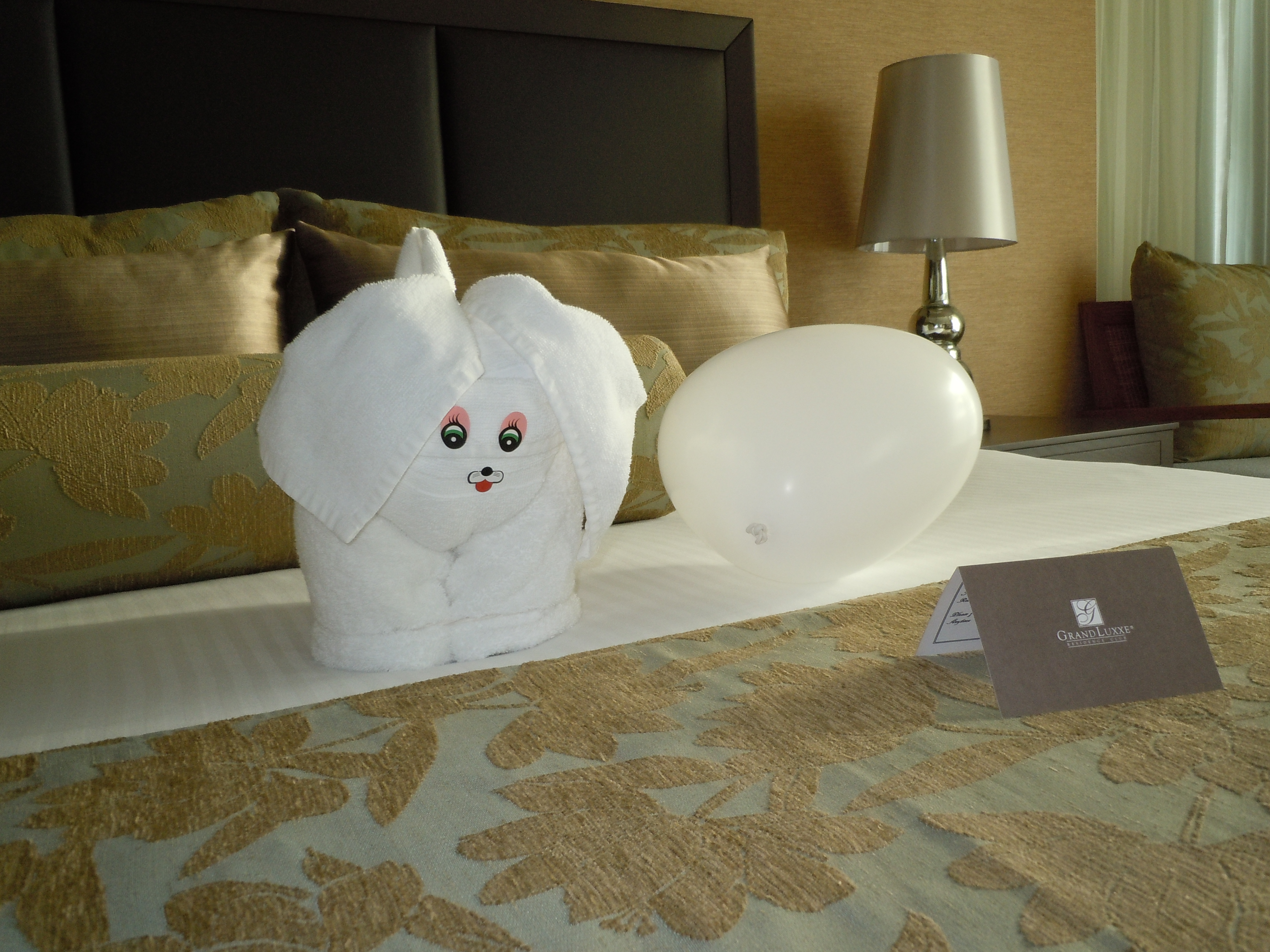 Toy dog towel animal