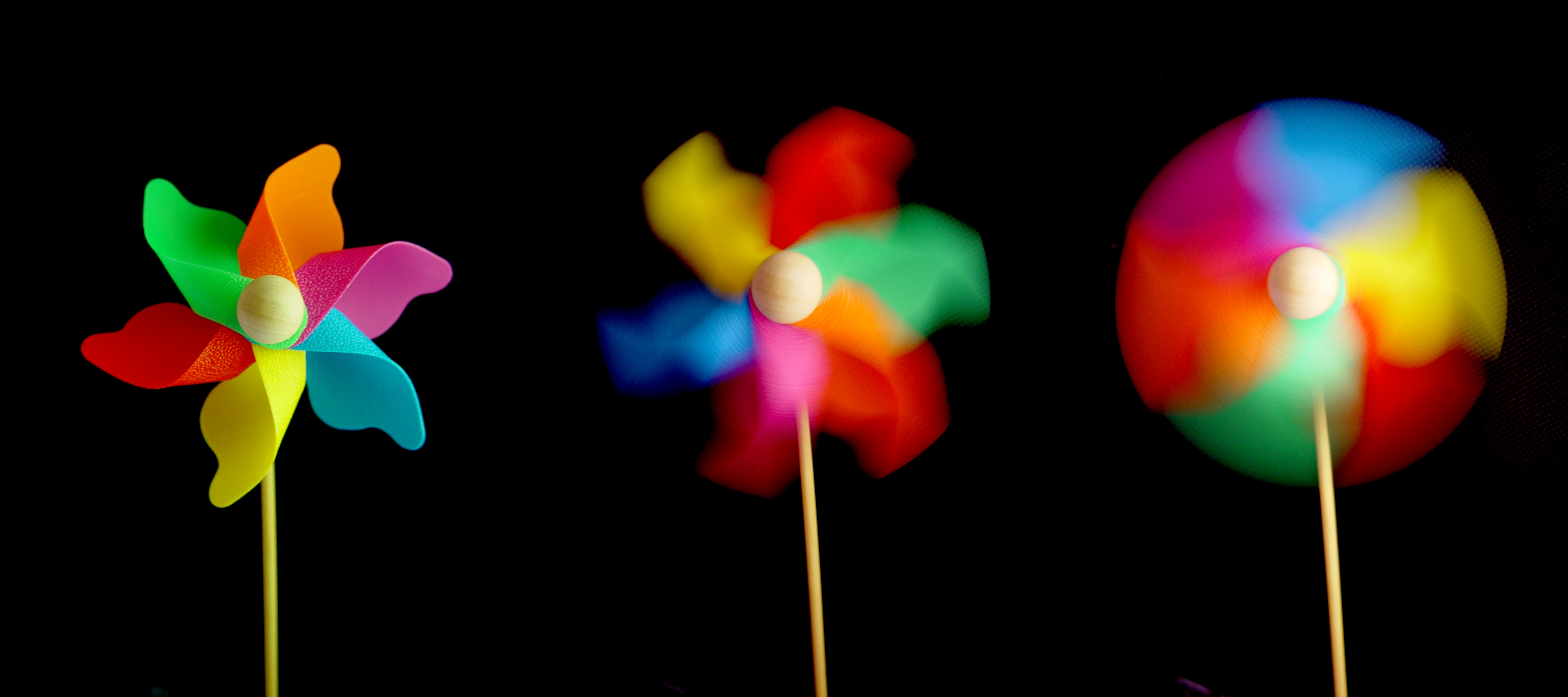 Windflower-05237-nevit