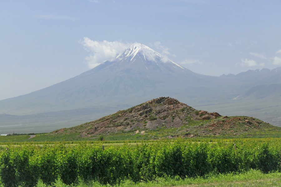 2014 Prowincja Ararat, Widok na Mały Ararat (06)