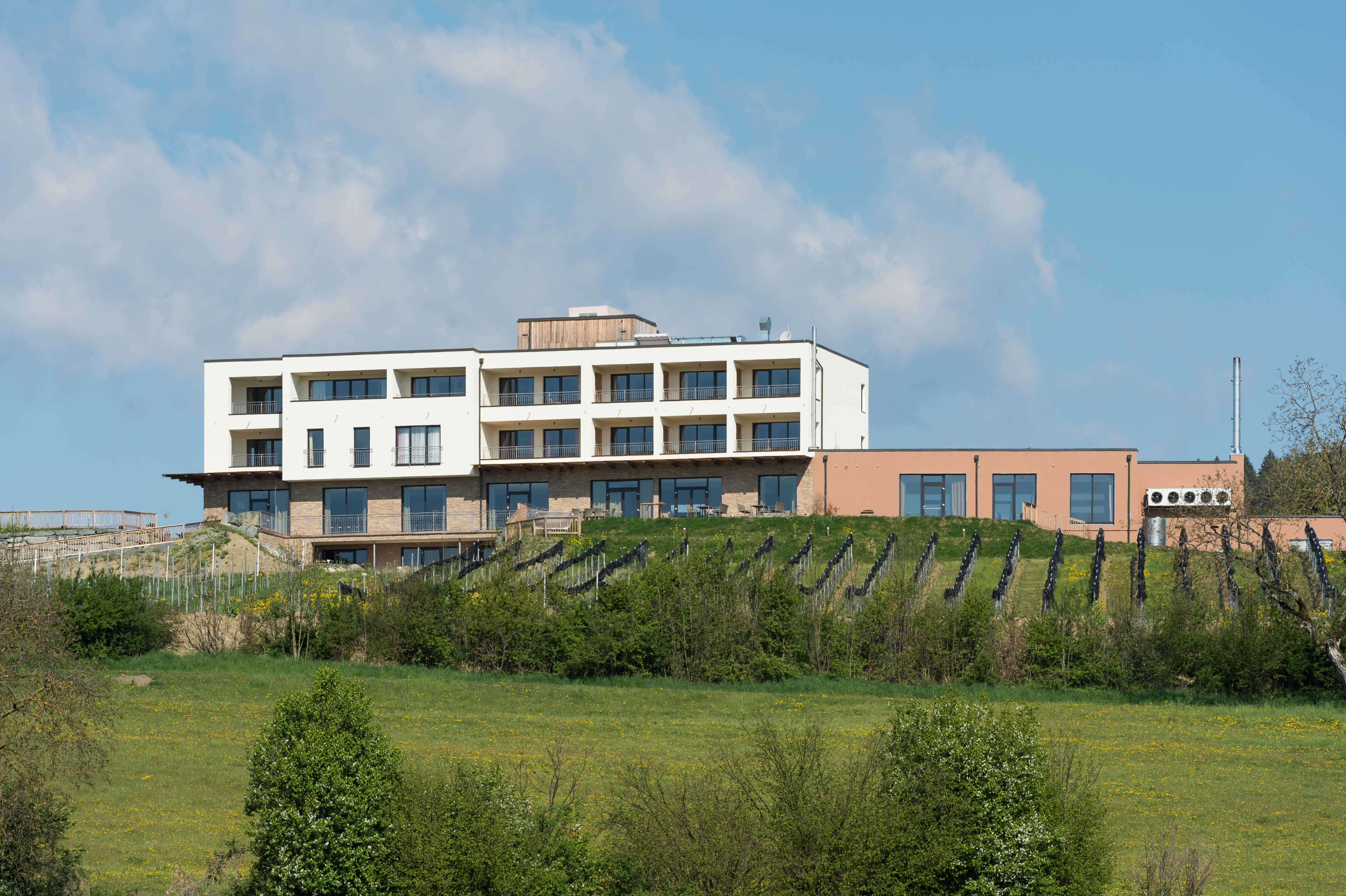 Feldkirchen Briefelsdorf 55 Weingut Winzerei Trippel 20042016 3070