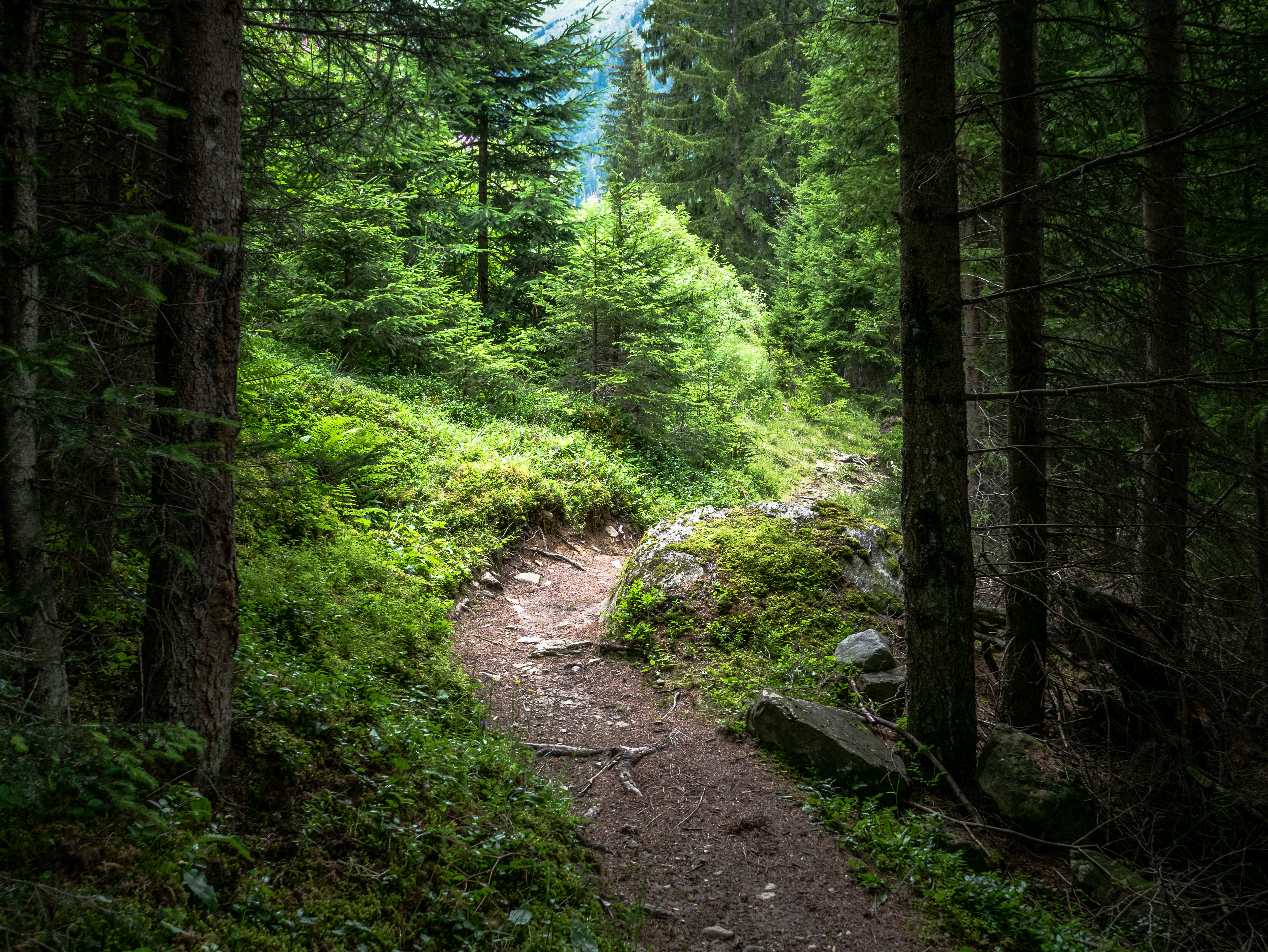 Ischgl - Wanderweg 01