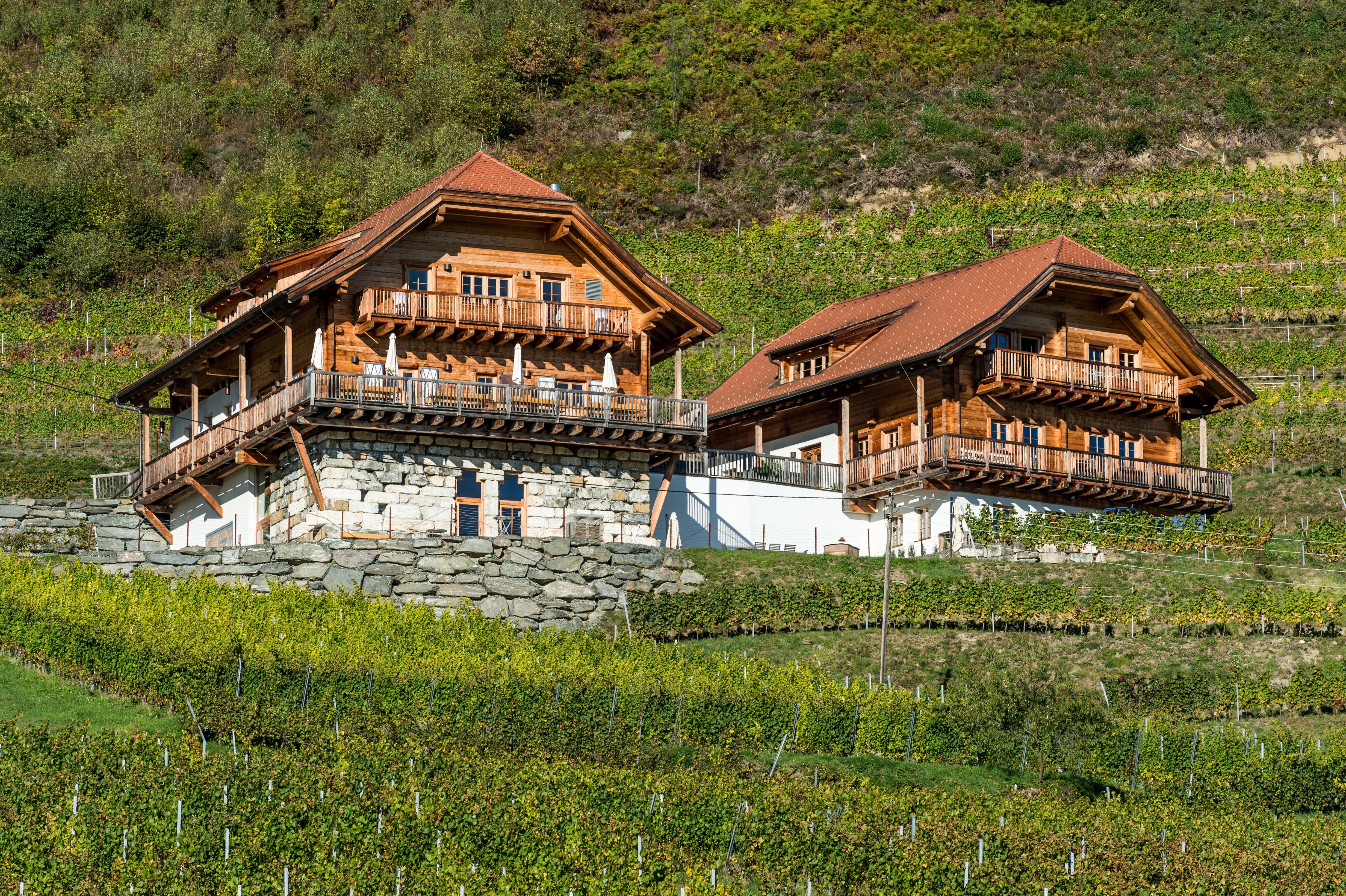 Klagenfurt Wölfnitz Leiten Weingut Karnburg 02102018 6270
