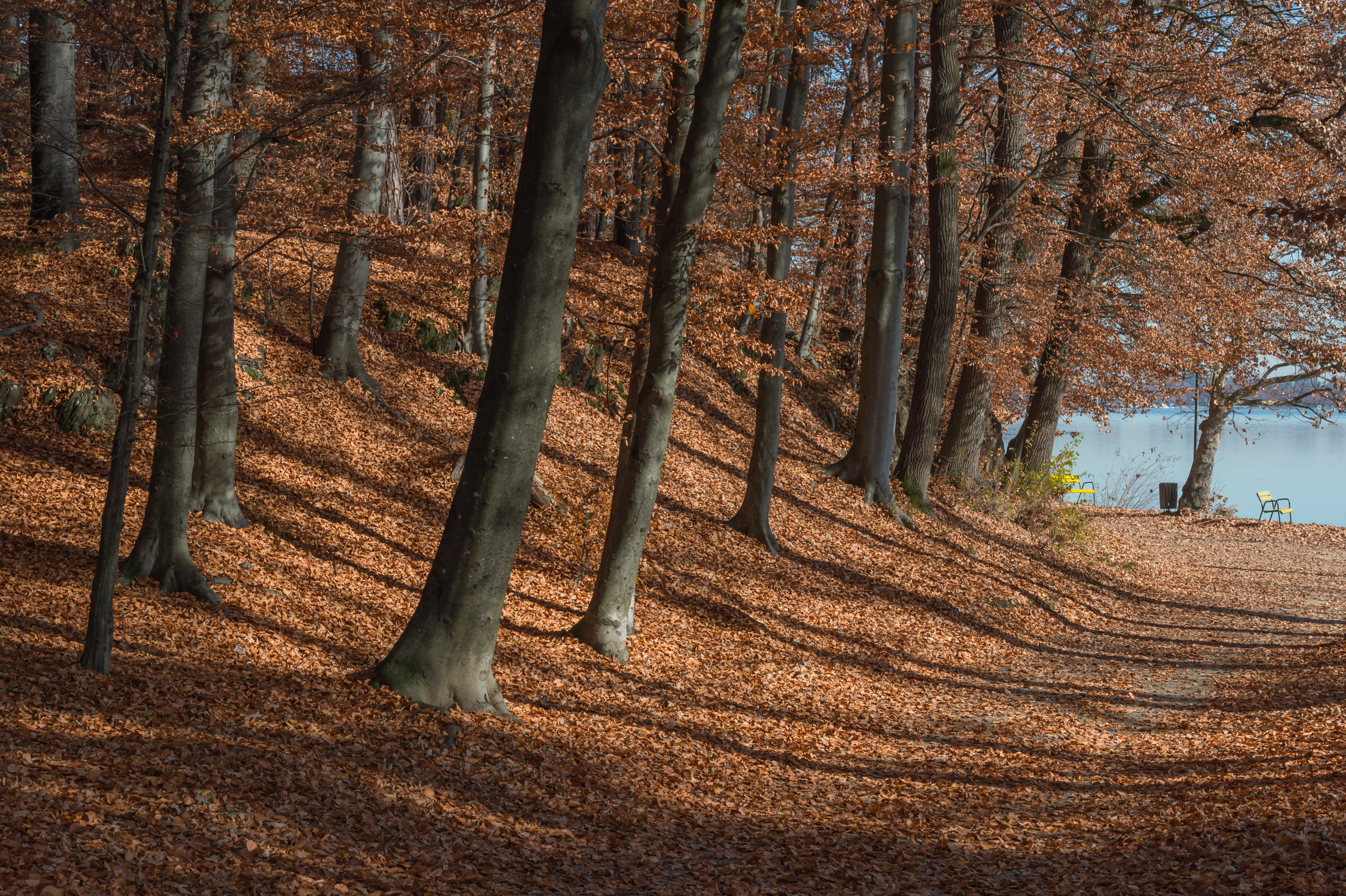 Krumpendorf Strandpromenade Buchenwald 11102015 2366