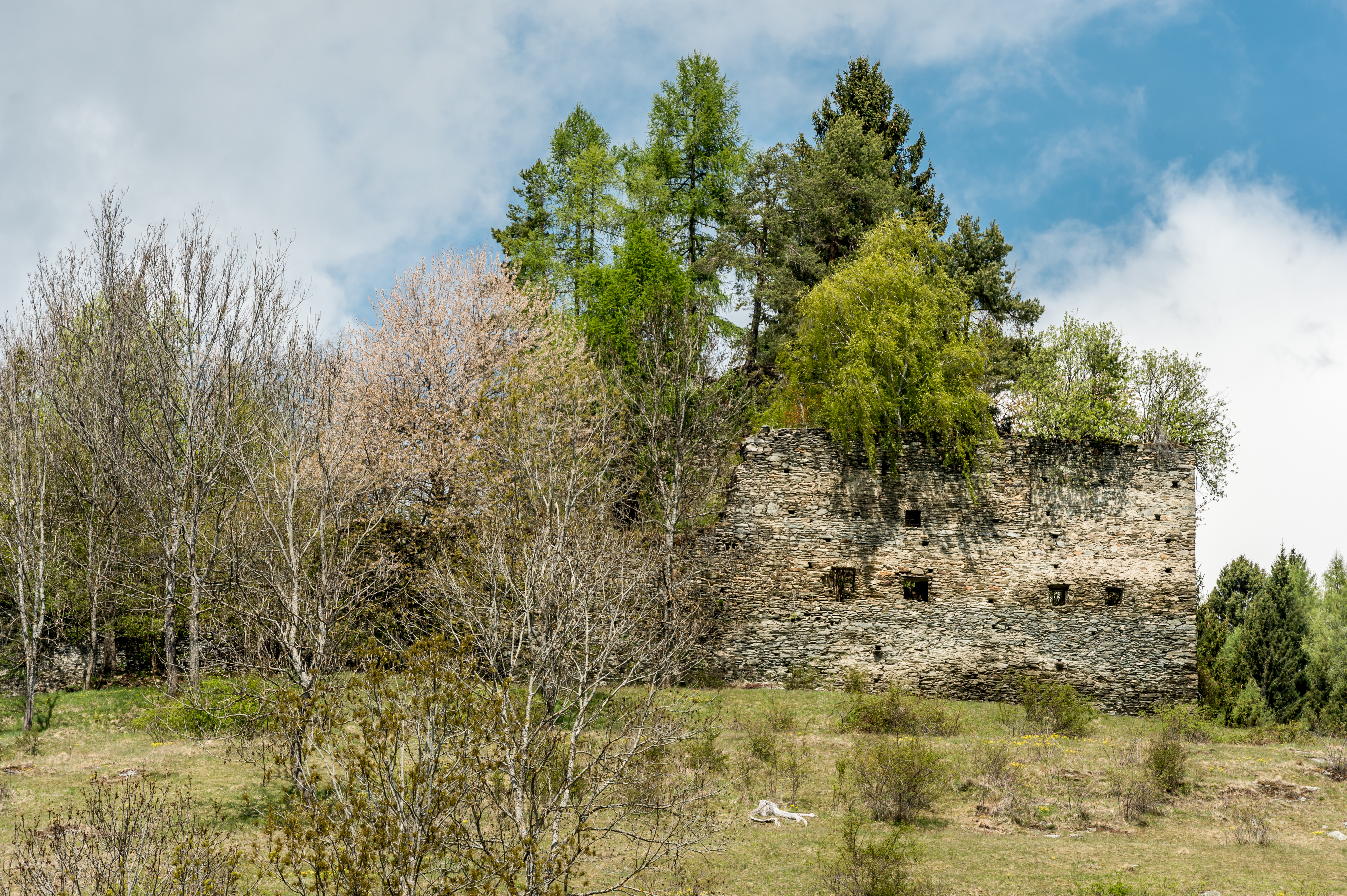 Liebenfels Gradenegg Burgruine SSO-Ansicht 25042017 5128