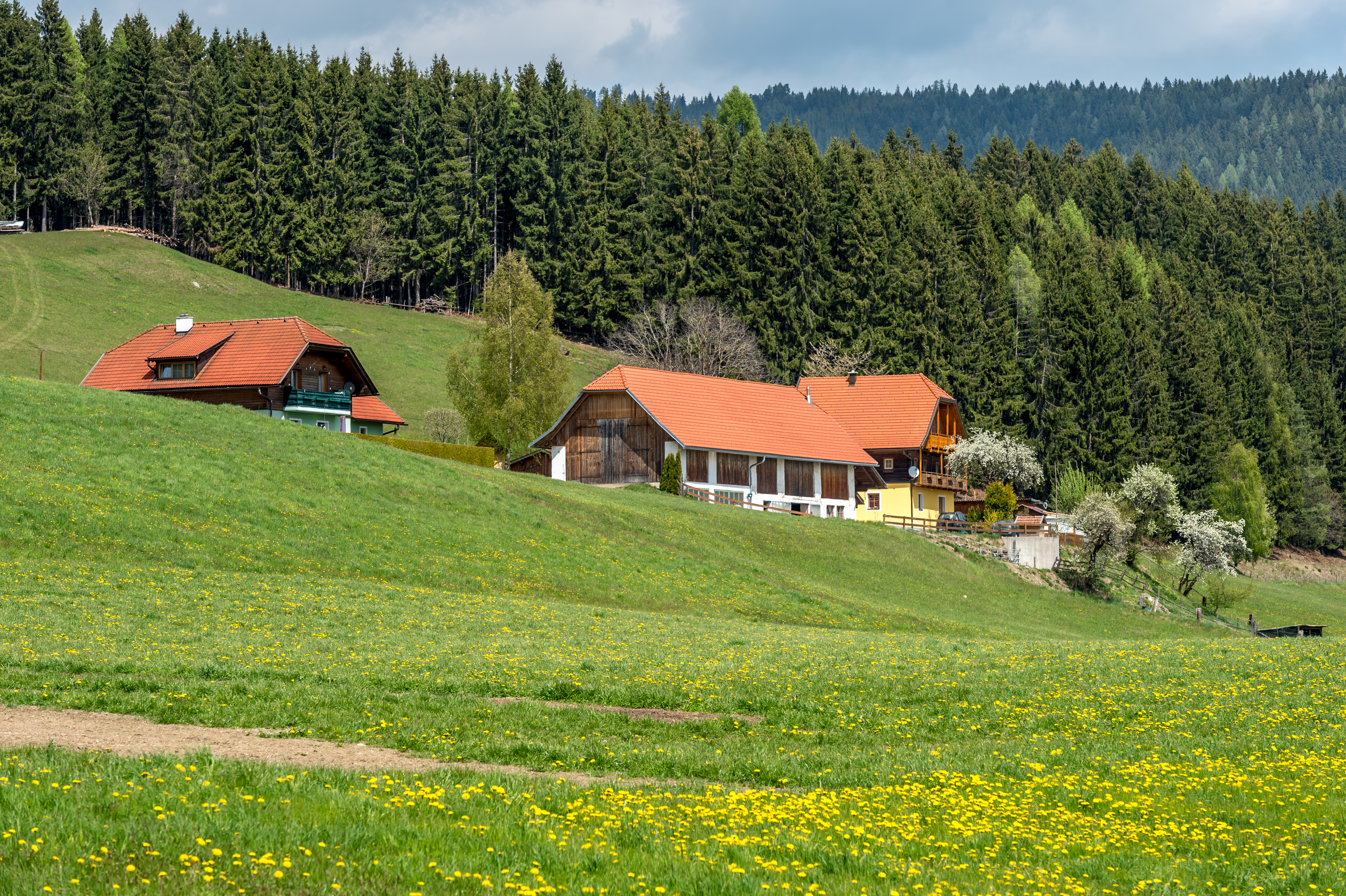 Liebenfels Pflausach 7 Anwesen Süd-Ansicht 25042017 5121