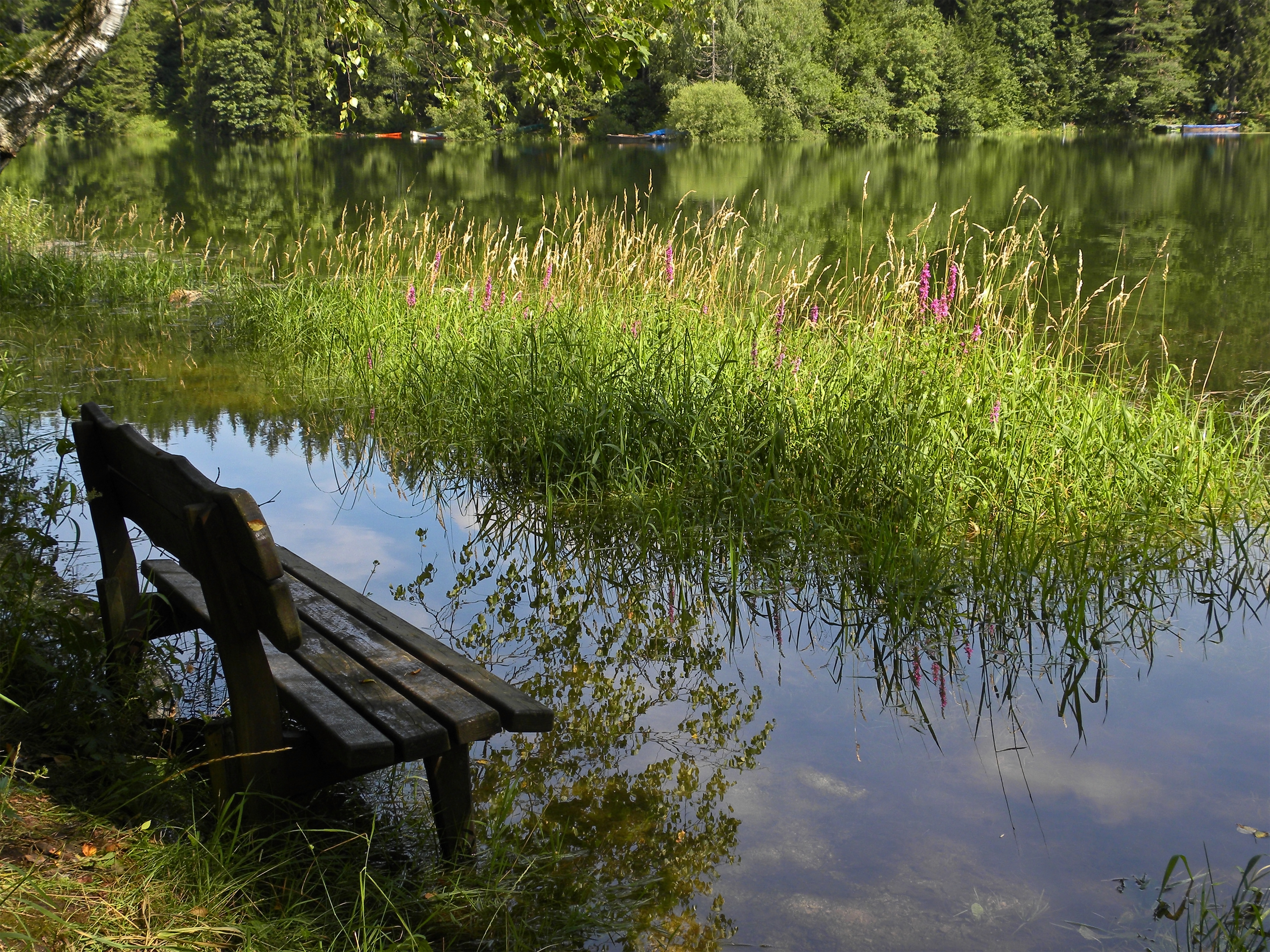 Naturpark Ötscher-Tormäuer - Bank beim Erlauf-Stausee