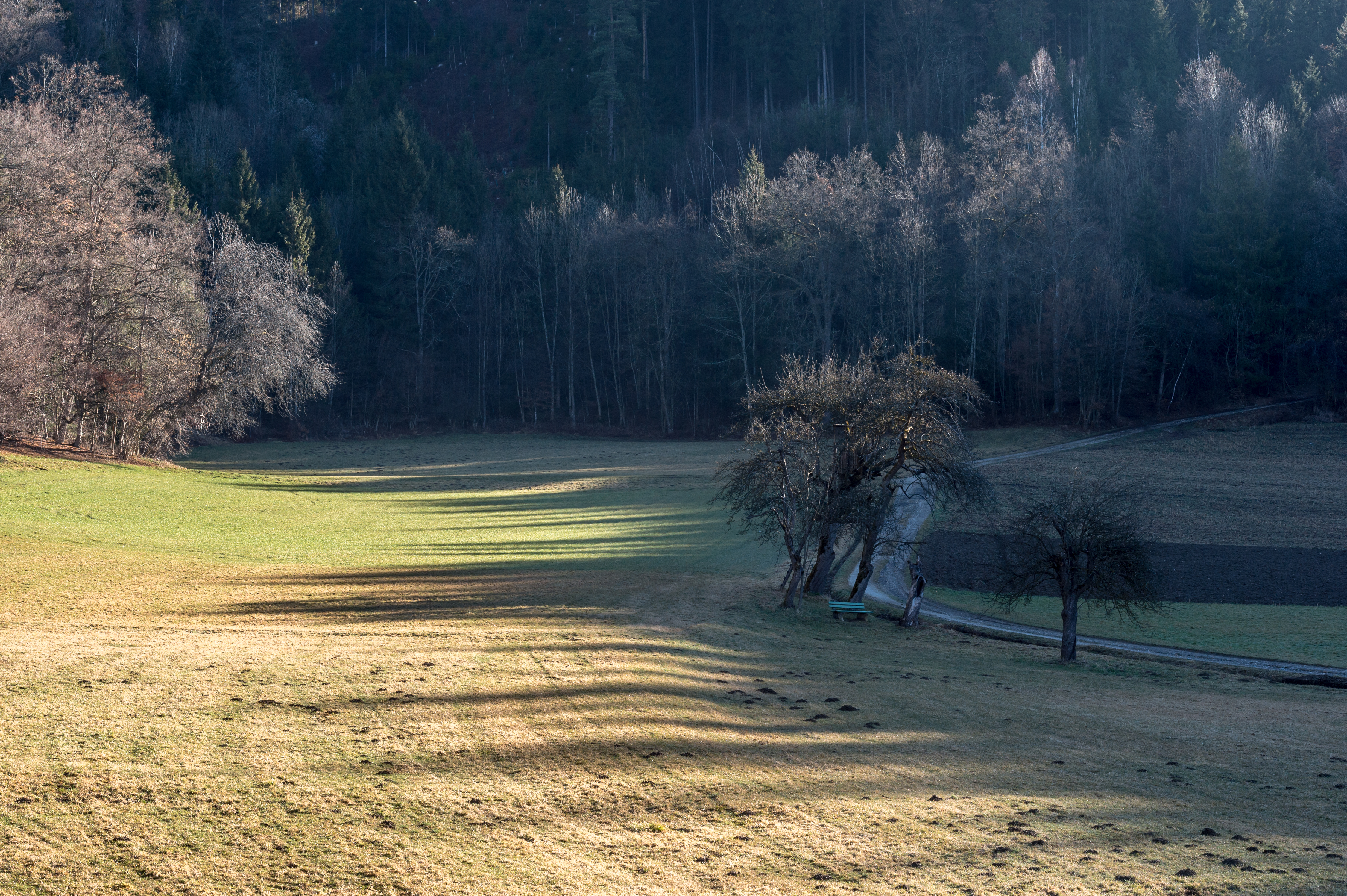 Poertschach Gaisrueckenstrasse Am Kåte 10032017 4867