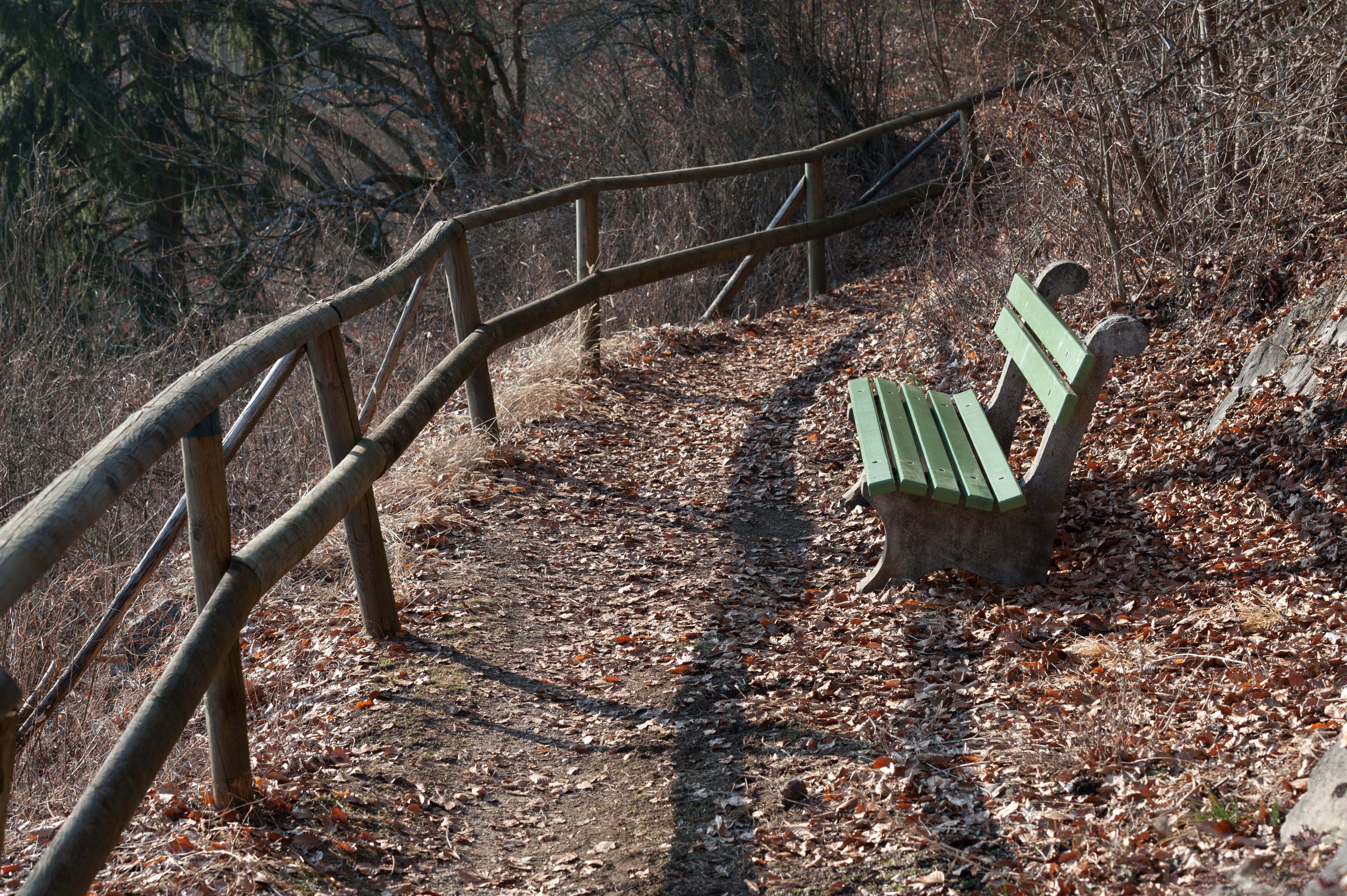 Poertschach Gloriettenweg Waldbank 18022015 7604