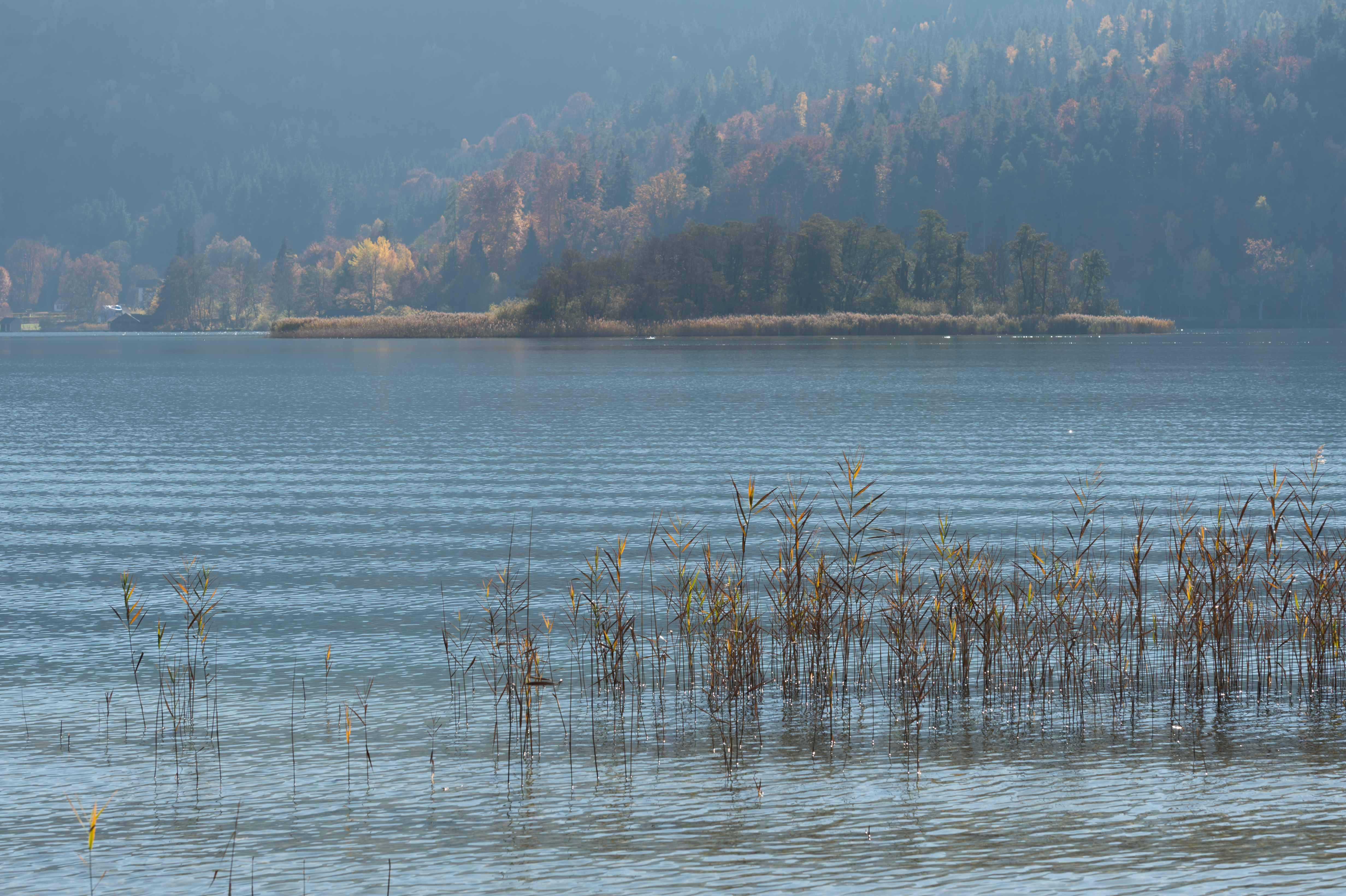 Poertschach Halbinselpromenade Blick zur Kapuzinerinsel im Woerther See 02112015 2049