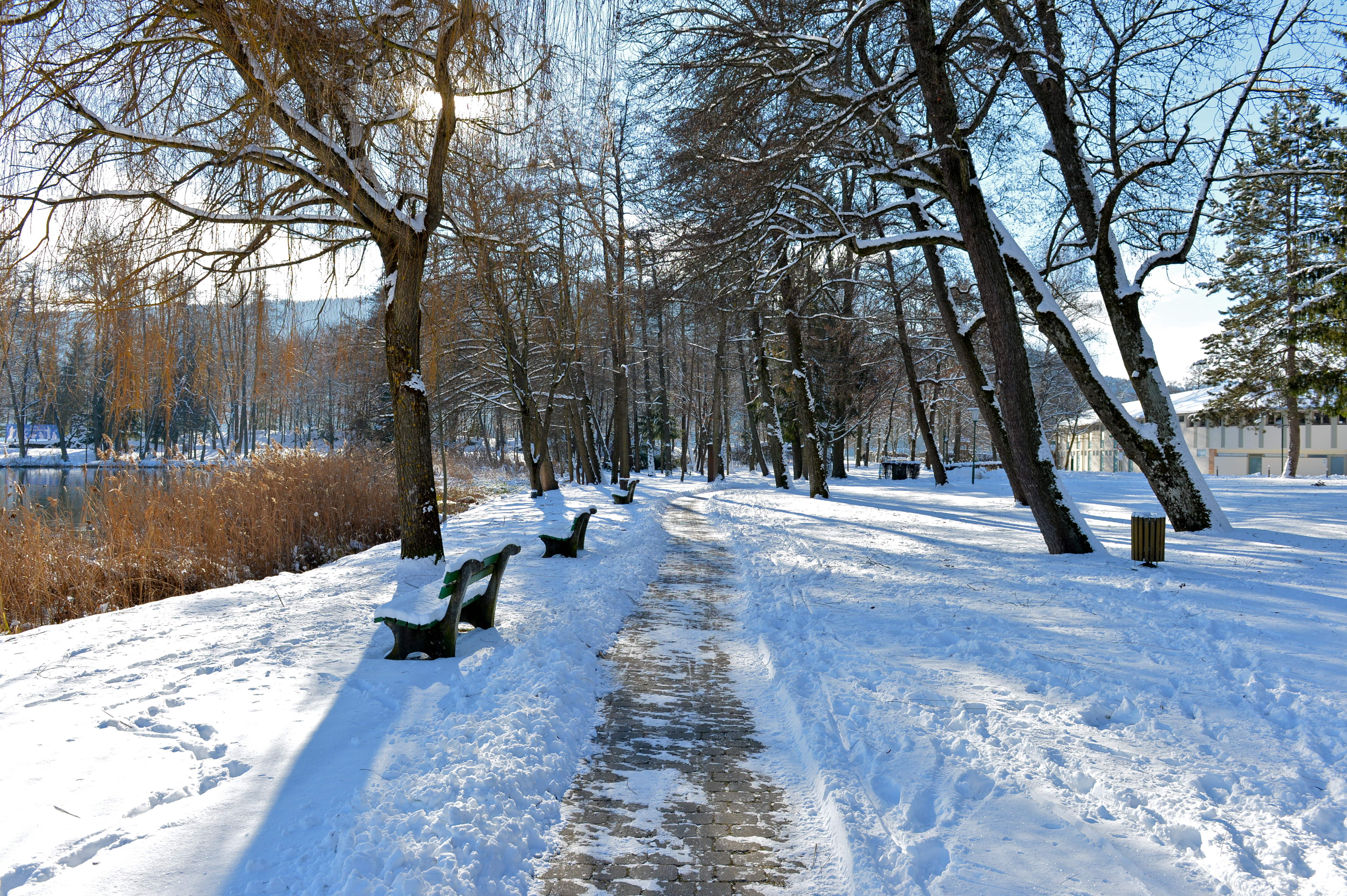 Poertschach Halbinselpromenade Winterpark 29122014 679