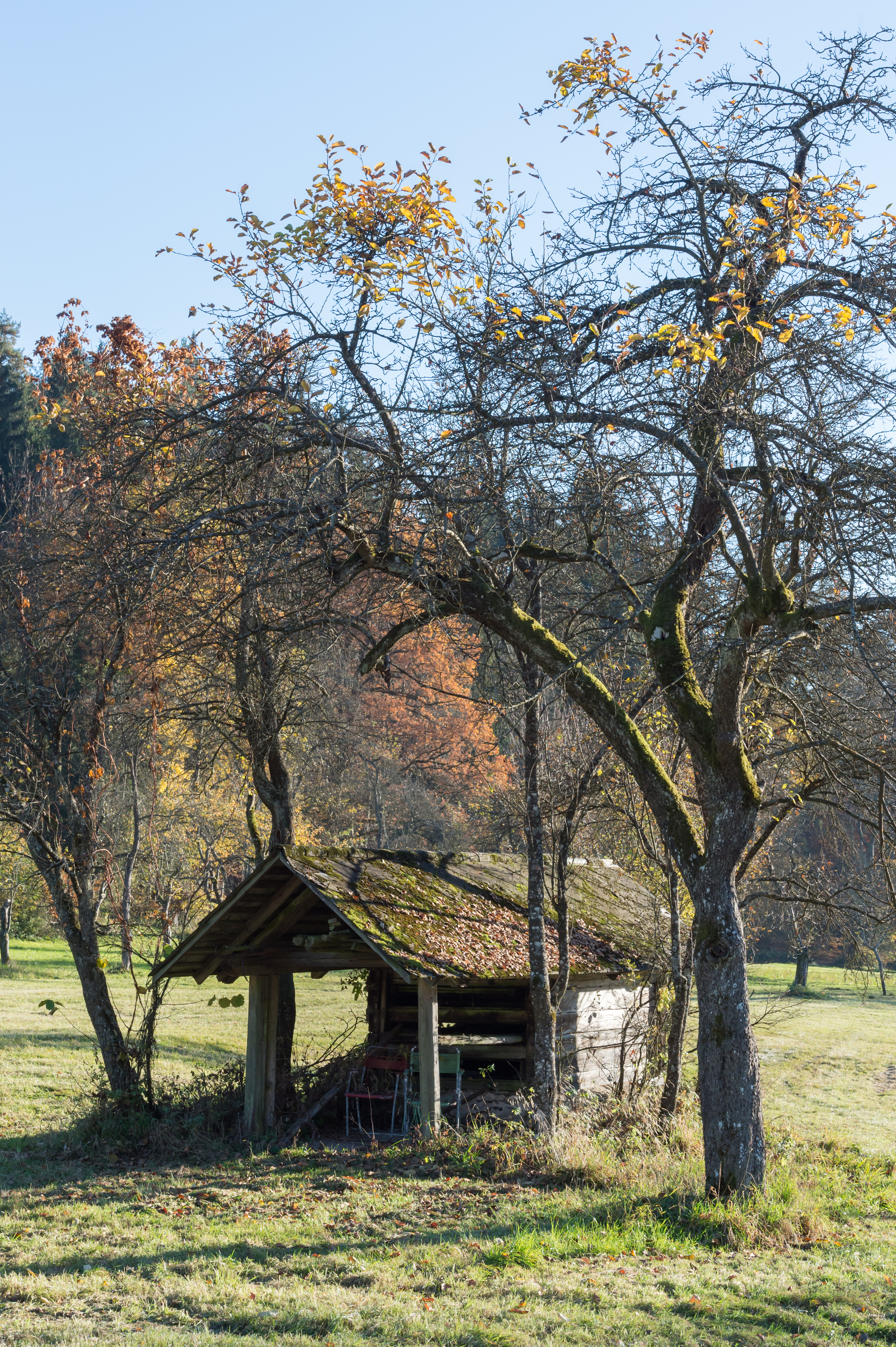 Poertschach Winklern Am Kåte Doerrkasten in Streuobstwiese 05112015 2236