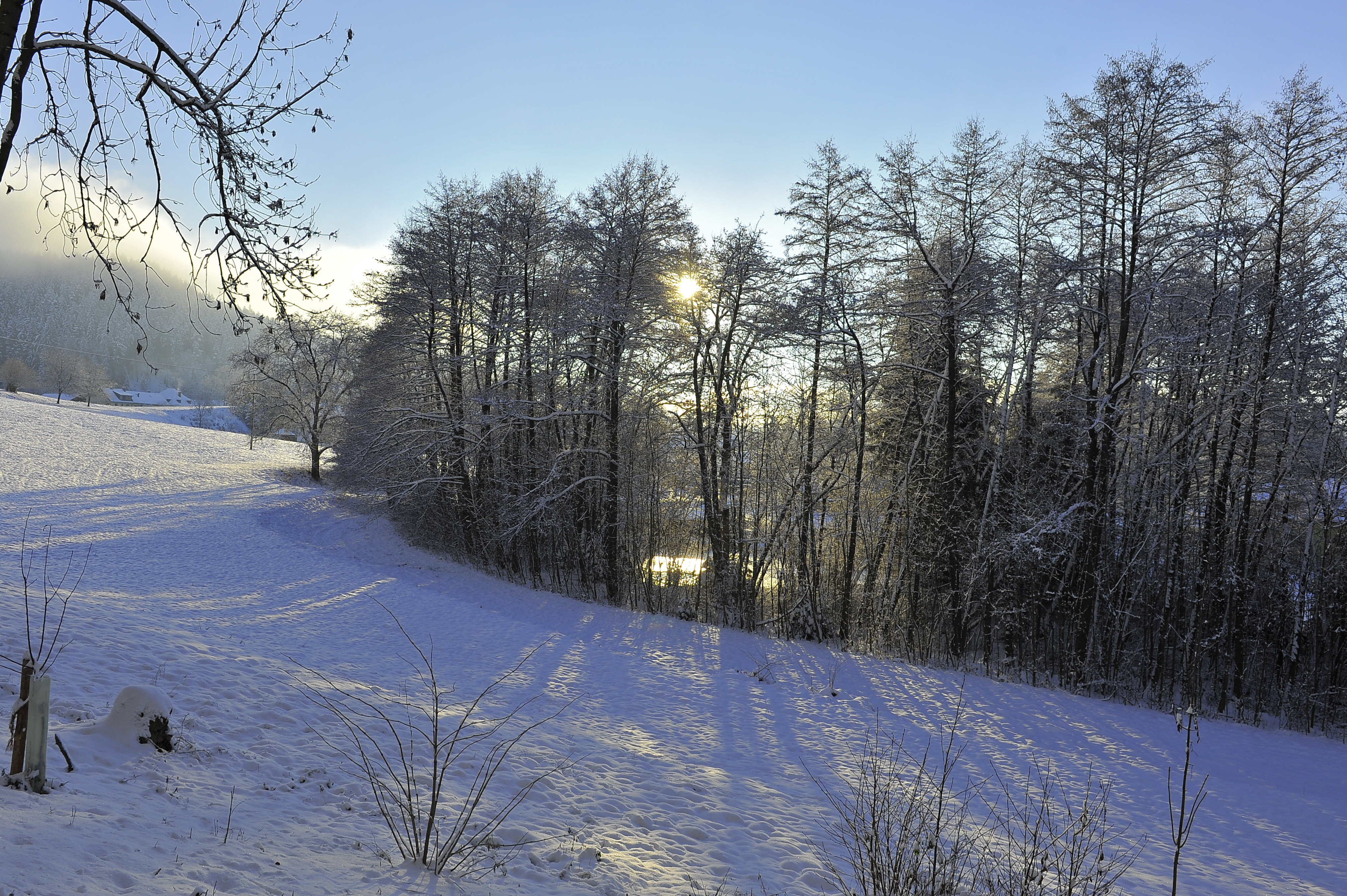 Poertschach Winklern Quellweg Teich 09122012 849