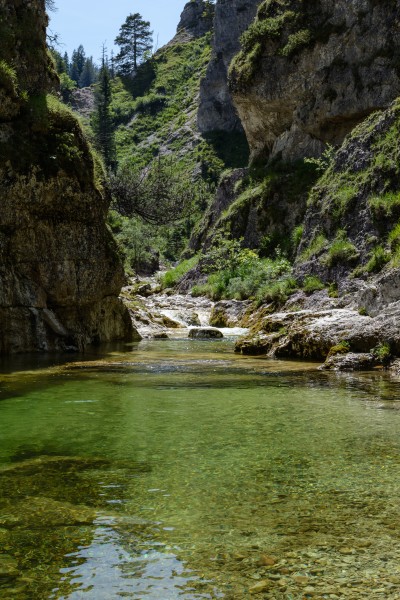Ötscherbach 08