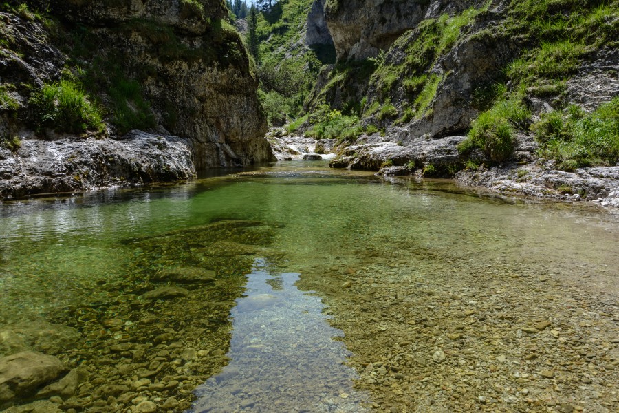 Ötscherbach 09
