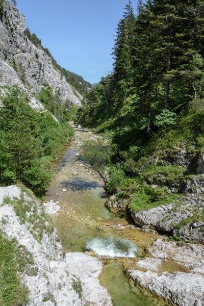 Ötscherbach 15