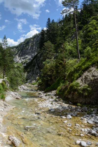 Ötscherbach 28