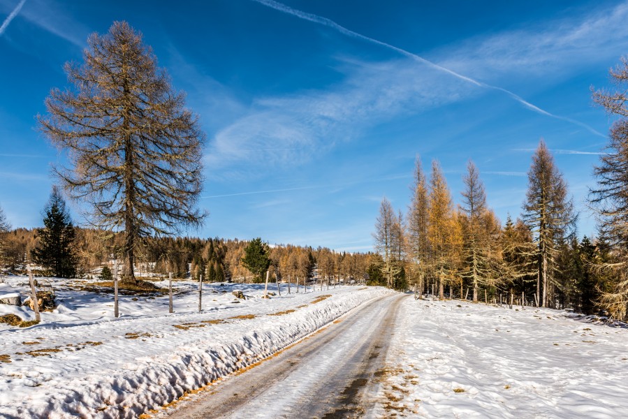 Albeck Seebachern Fahrweg zum Weissen Kreuz 22112017 2114