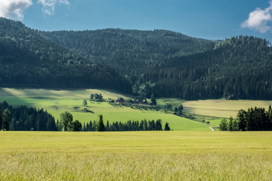 Deutsch-Griffen Spitzwiesen Blick auf Albeck Untere Schattseite 13062017 9307