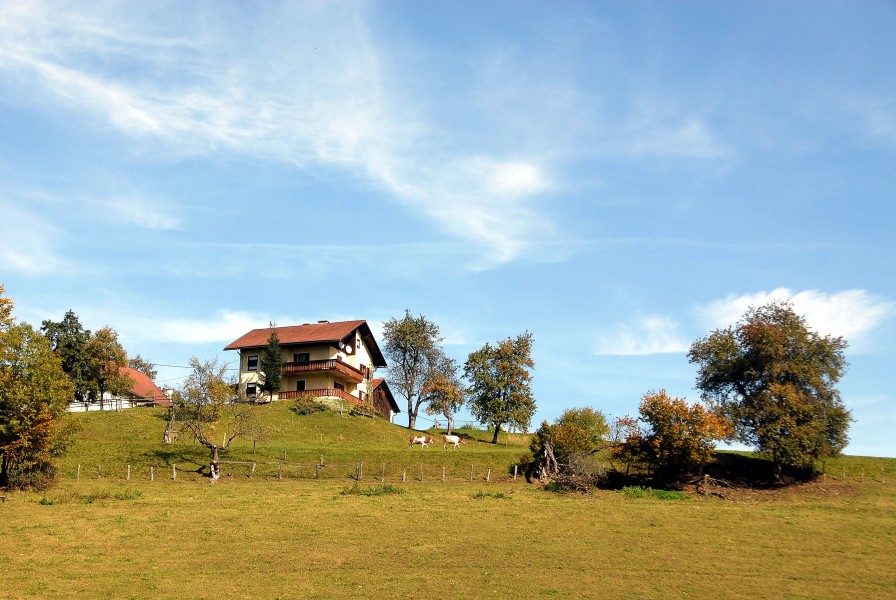 Ebenthal Sabuatach Schlebnig 02102007 11