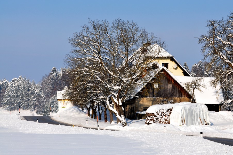 Ebenthal Werouzach 1 Gehoeft an der Wegkapelle 13022010 322