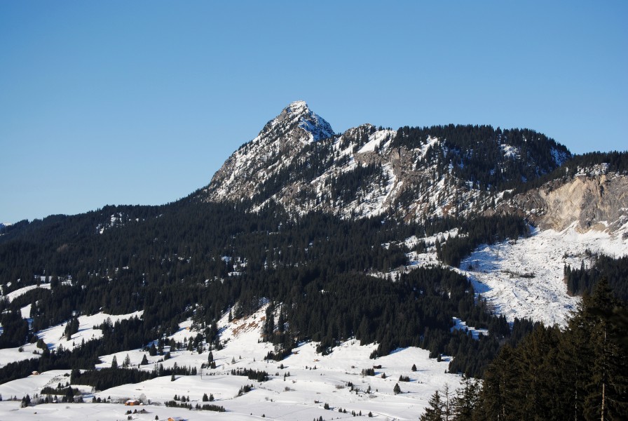 Einstein im Tannheimer Tal 2011