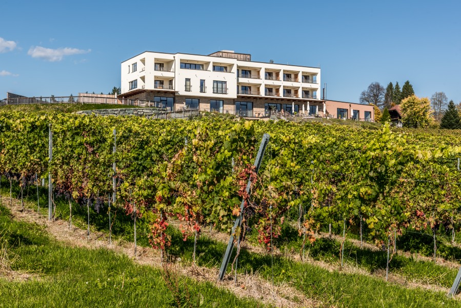 Feldkirchen Briefelsdorf 55 Weingut Winzerei Trippel 12102017 1513