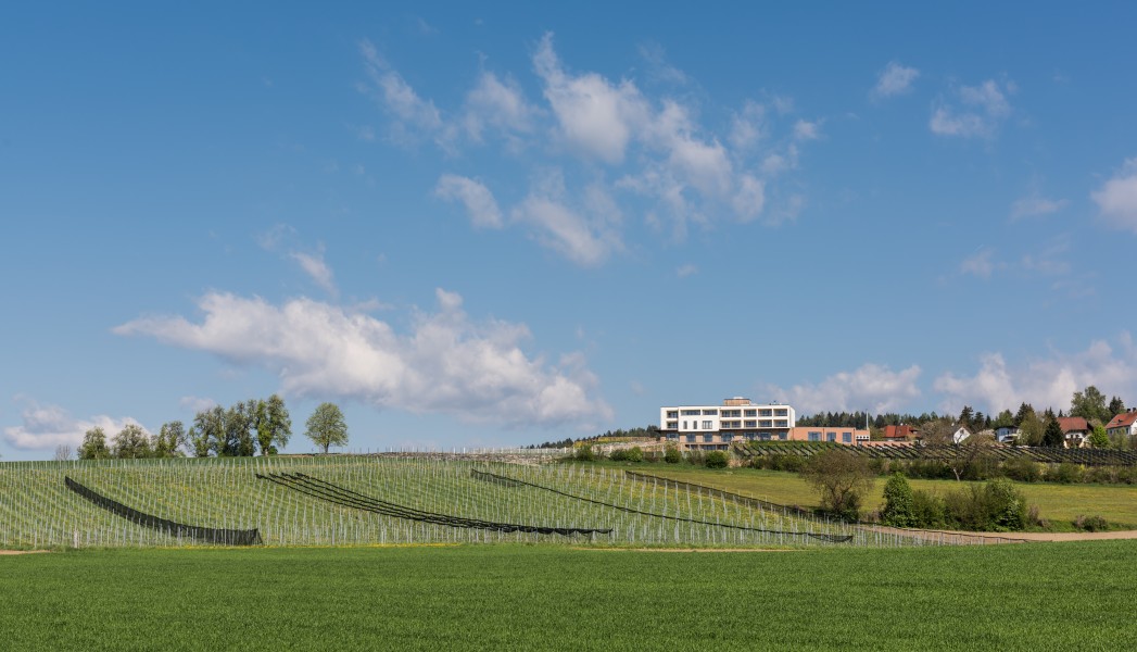Feldkirchen Briefelsdorf 55 Weingut Winzerei Trippel 20042016 1588
