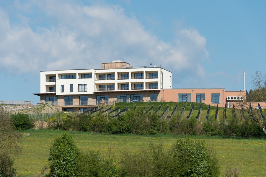 Feldkirchen Briefelsdorf 55 Weingut Winzerei Trippel 20042016 3070