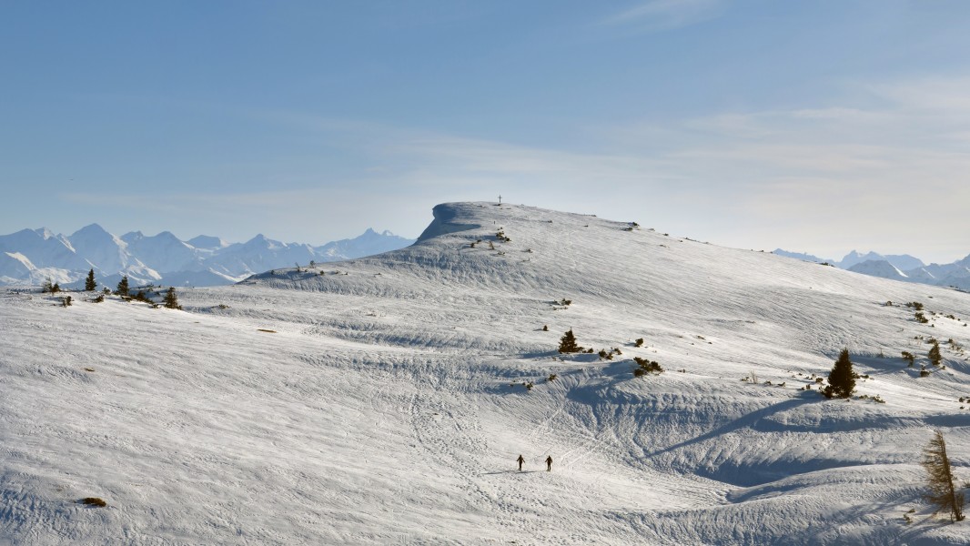 Fellhorn (Chiemgauer Alpen) von Norden