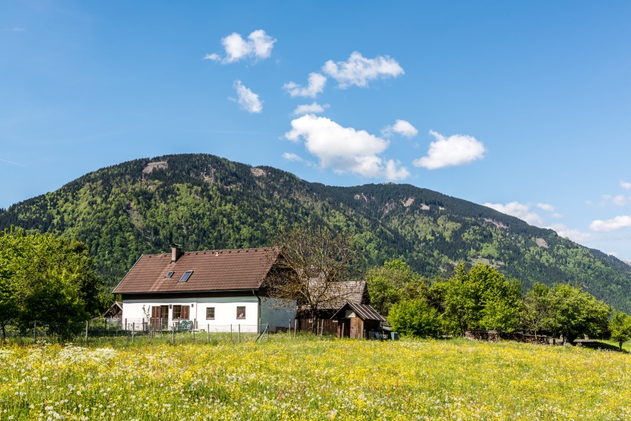 Hohenthurn Blick zum Kapin und Göriacher Berg NO-Ansicht 16052017 8458