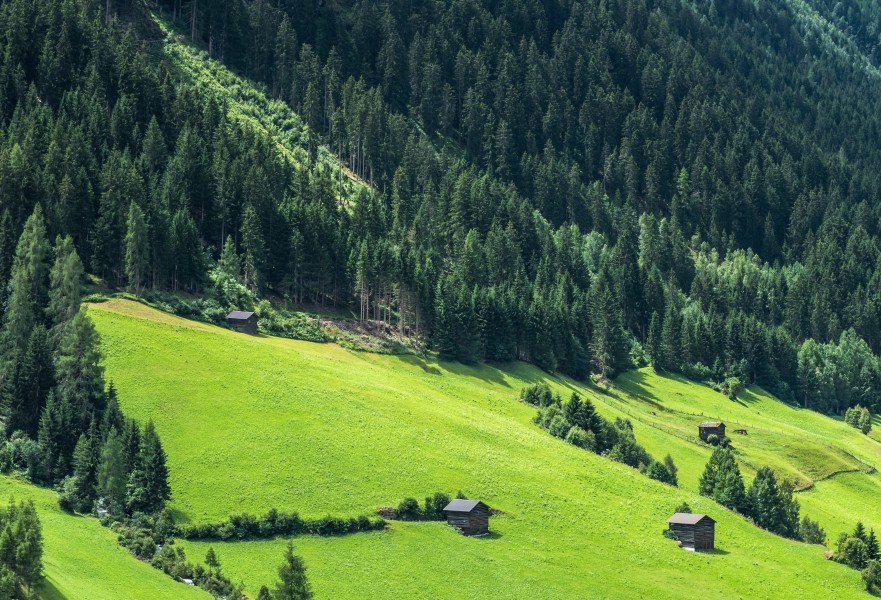 Kappl - Bergwiesen 01