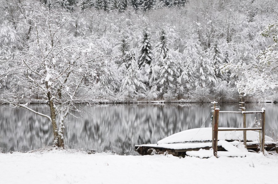 Keutschach Dobeinitz Bassgeigensee 05122012 444