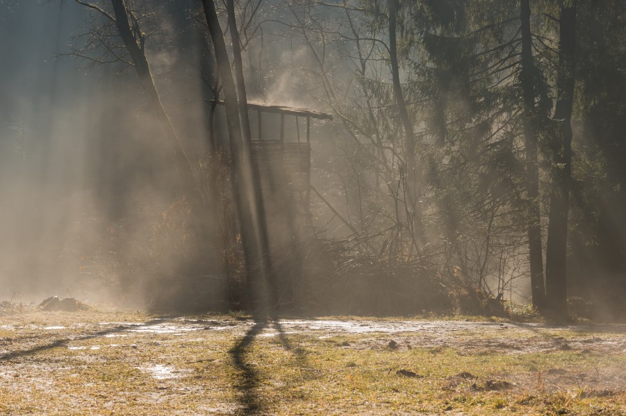 Klagenfurt Annabichl Waltendorfer Strasse Hochsitz im Morgendunst 04022016 2691