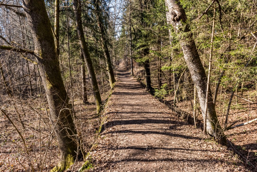 Klagenfurt Sankt Martin Kreuzbergl Waldweg 2501201 2406