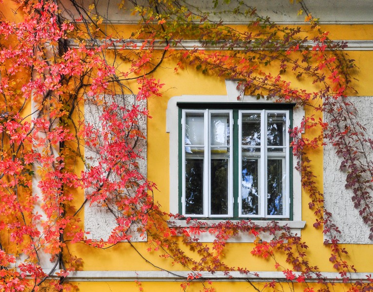 Klagenfurt Tarviser Strasse 96 herbstliche Villa Fenster 07102008 1197