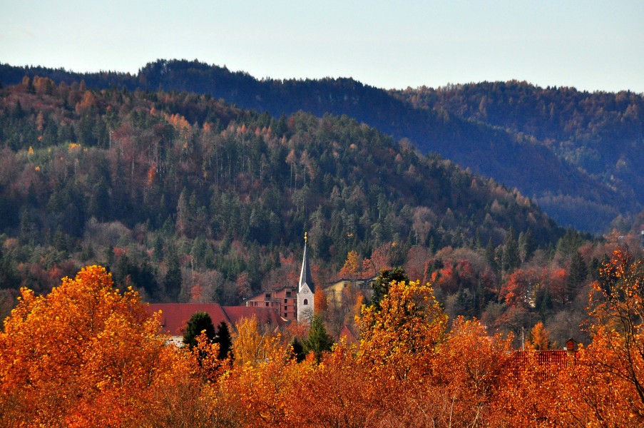 Klagenfurt Viktring Stiftskirche 11112009 60