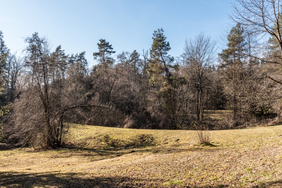 Klagenfurt Villacher Vorstadt Kreuzbergl alter Schießplatz Waldweg 25012018 2405