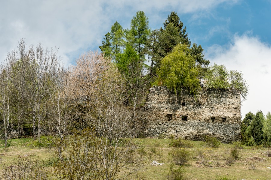 Liebenfels Gradenegg Burgruine SSO-Ansicht 25042017 5128