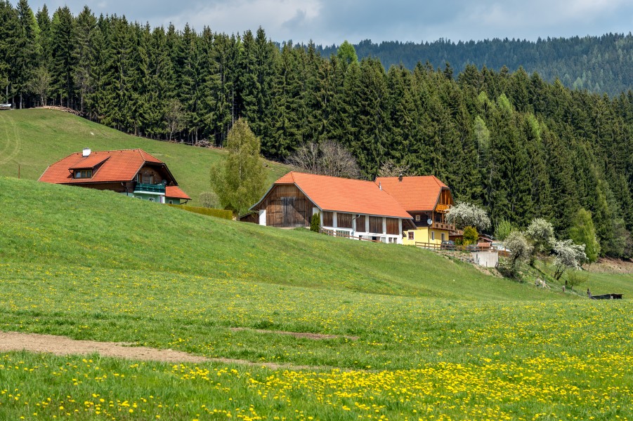 Liebenfels Pflausach 7 Anwesen Süd-Ansicht 25042017 5121