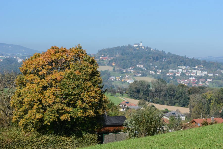 Linz Pöstlingberg vom Turm 13