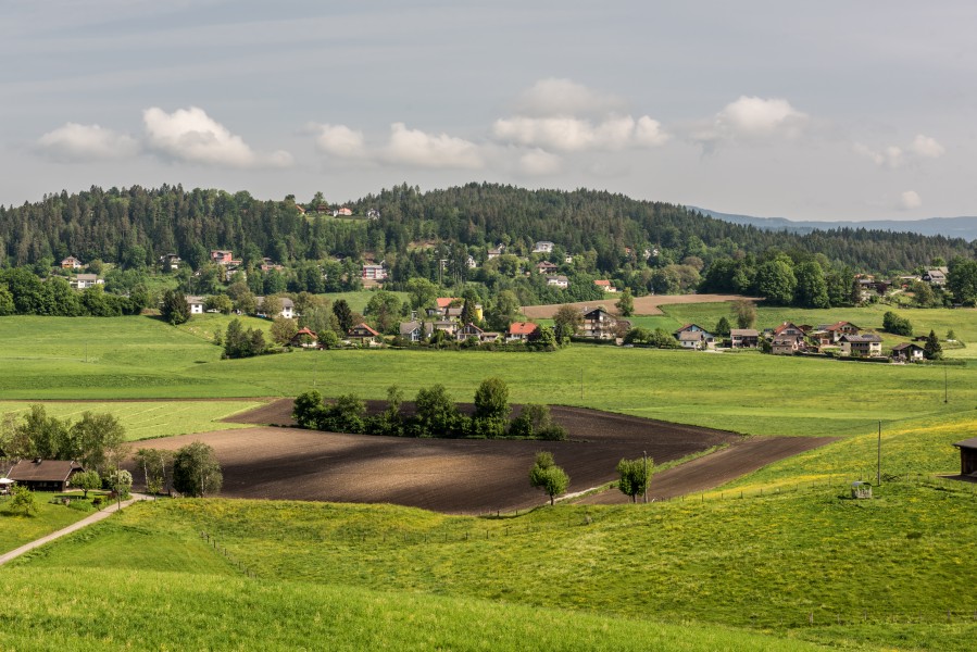 Moosburg Hohenfeld und Tuderschitz Landschaft 07052018 3155