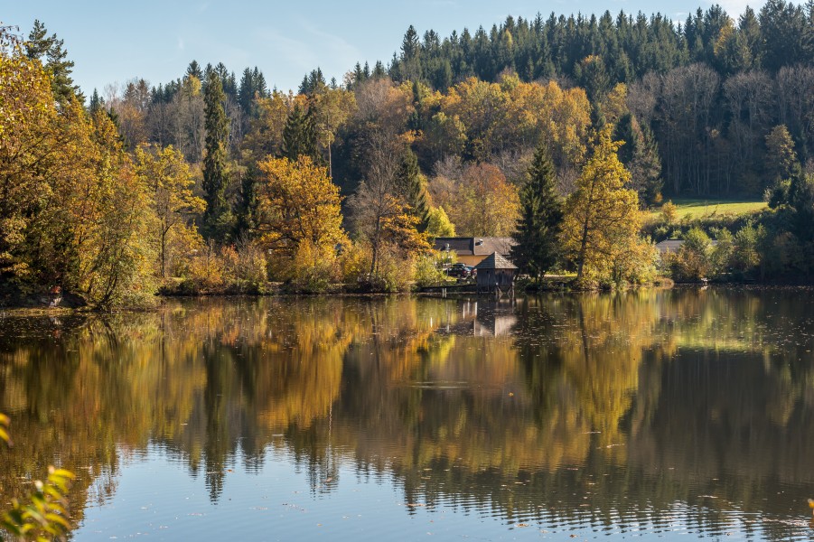 Moosburg Mitterteich Herbststimmung 18102017 5682