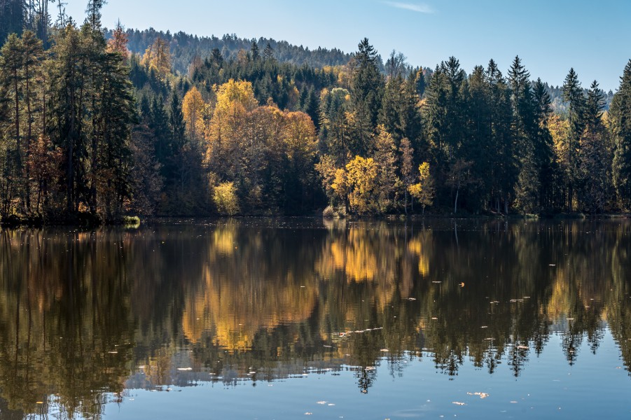 Moosburg Mitterteich Herbststimmung 18102017 5687
