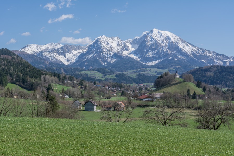 NSG Haller Mauern Kleiner Großer Pyhrgas April 2015