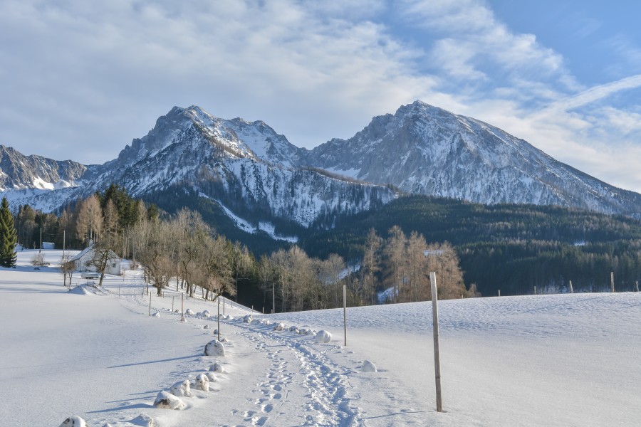 NSG Haller Mauern Kleiner Großer Pyhrgas Jan2015 Oberweng