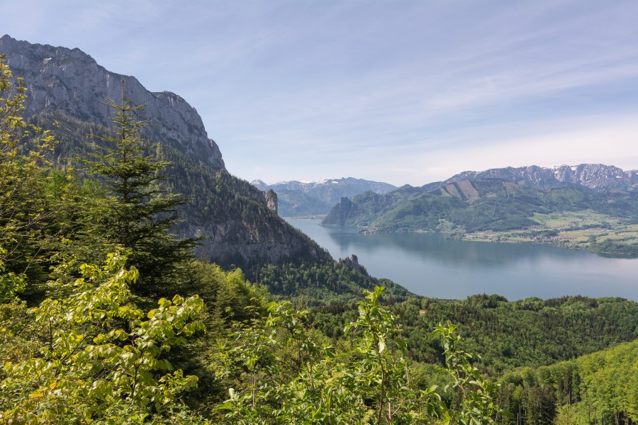 NSGOÖ 148 Traunstein Kaltenbachwildnis Adlerhorst Traunsee Altmünster