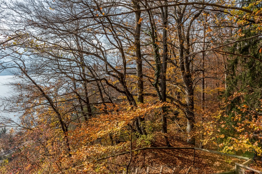 Pörtschach Glorietteweg W-Aufgang Treppe und Wörther See-Blick 05112017 1906