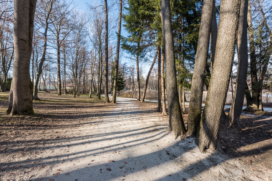 Pörtschach Halbinselpromenade 16012018 2264
