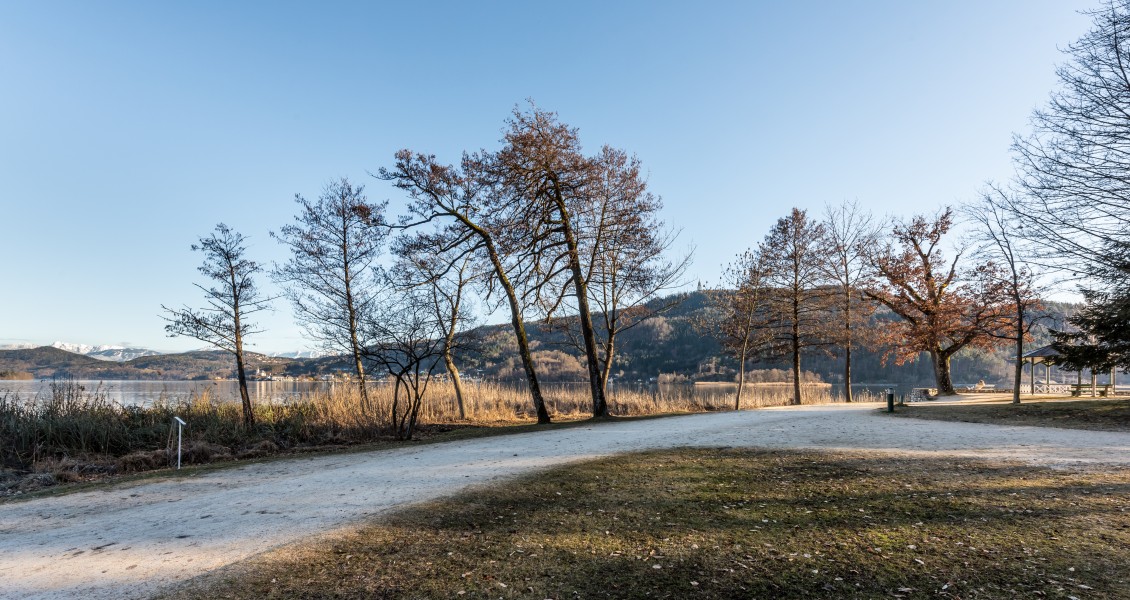 Pörtschach Halbinselpromenade Landspitz Bäume 16032018 2712